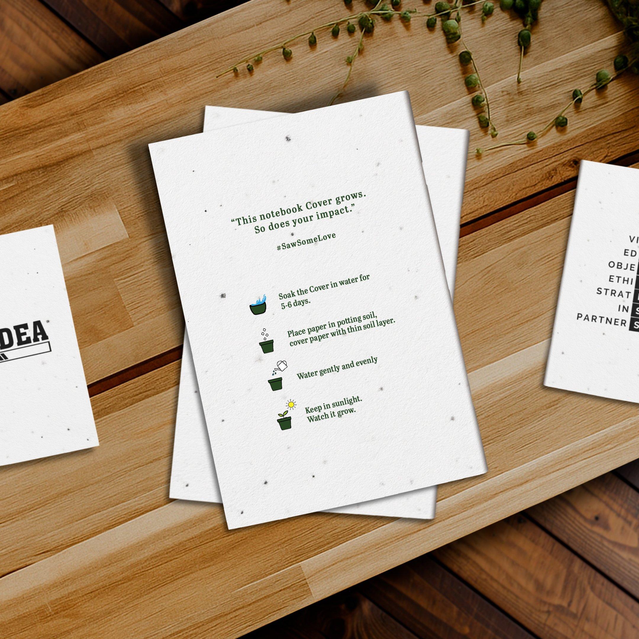 Seed paper notebooks